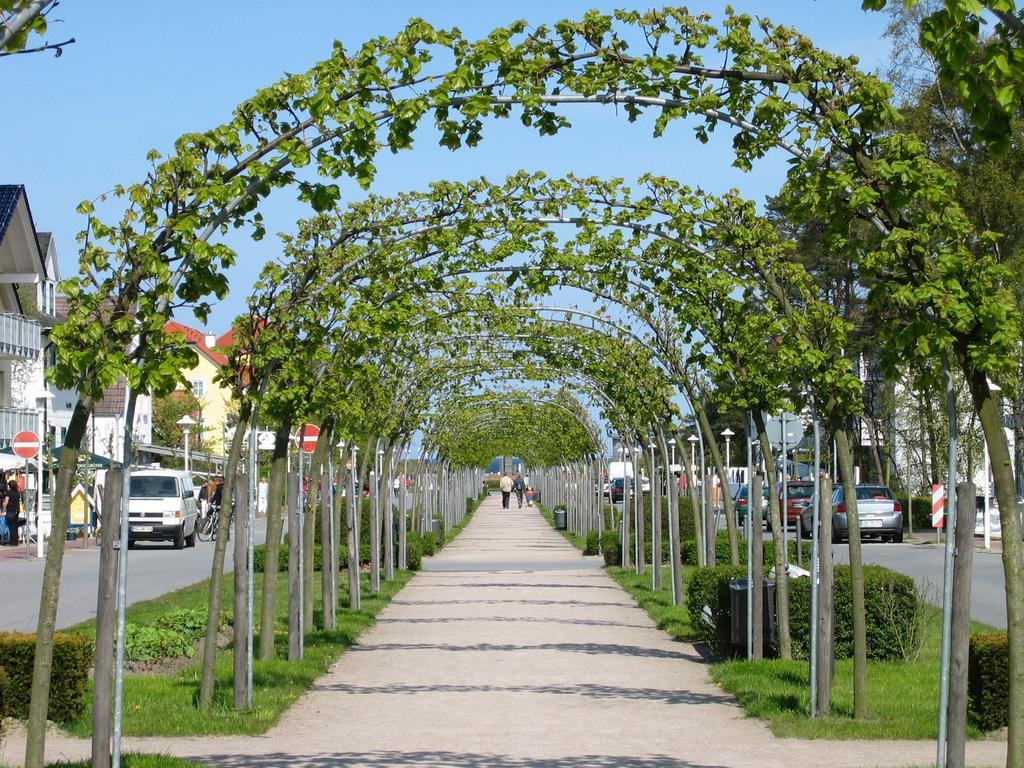 Traumferienwohnung Ostseebad Baabe - Ruegen Стая снимка